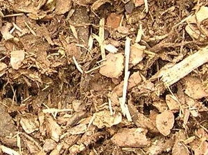 Dřevní štěpka